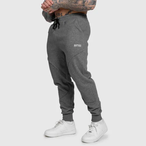 Férfi melegítőnadrág Iron Aesthetics ASTHX, szürke