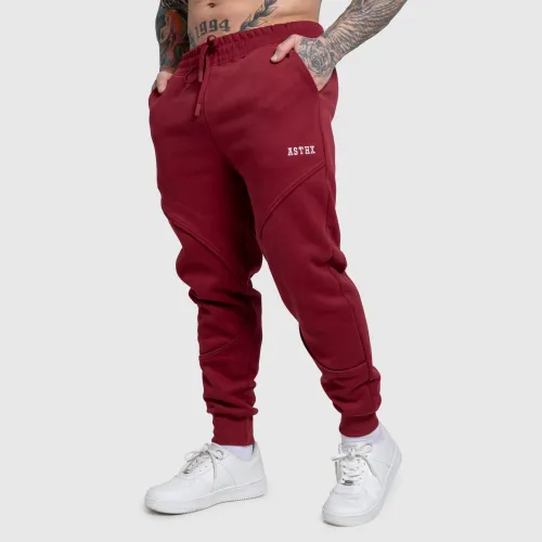 Férfi melegítőnadrág Iron Aesthetics ASTHX, bordó