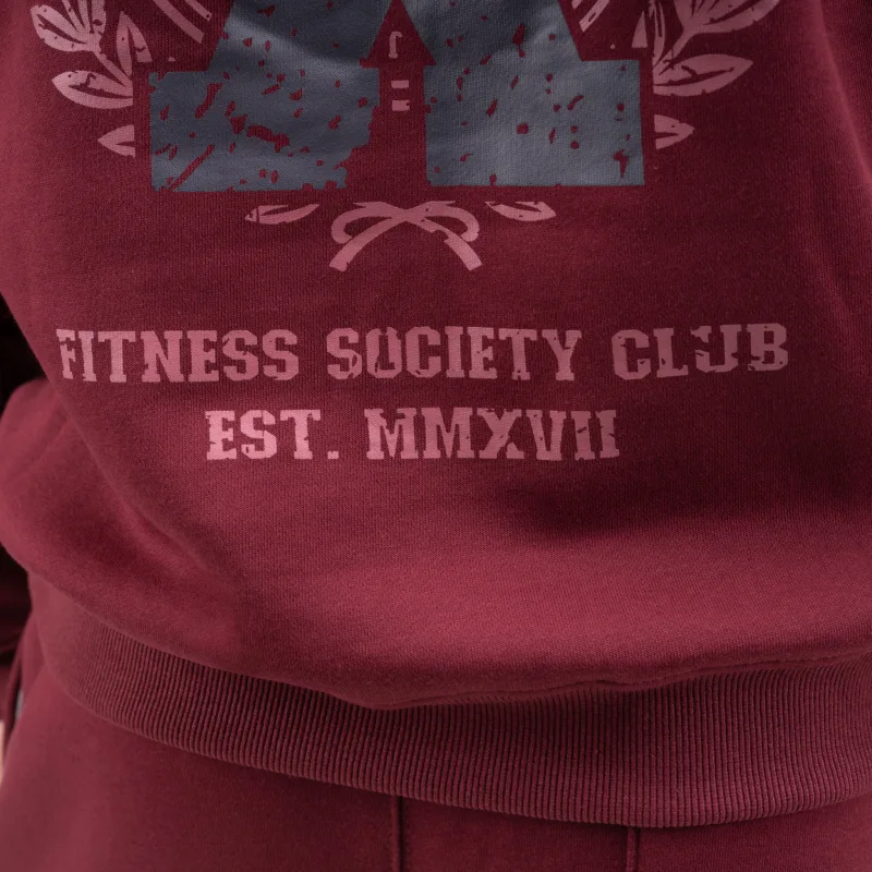 Férfi pulóver Iron Aesthetics X-Society, bordó-11