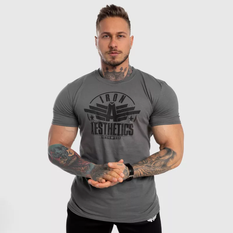 Férfi fitness póló Iron Aesthetics Force, szürke-1