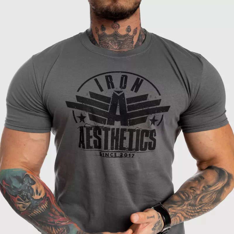 Férfi fitness póló Iron Aesthetics Force, szürke-3
