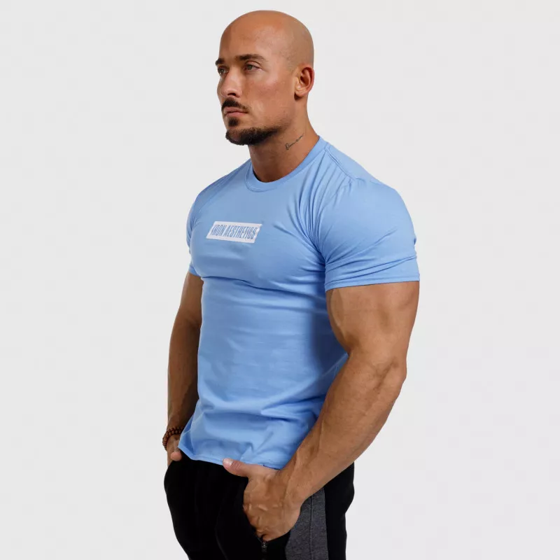 Férfi fitness póló Iron Aesthetics Boxed, kék-2