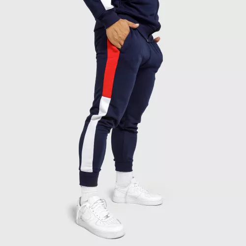 Jogger melegítőnadrág Iron Aesthetics Tricolora, navy