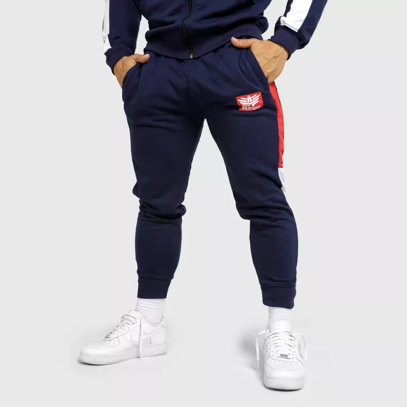 Férfi sportszett Iron Aesthetics Tricolora, navy-3